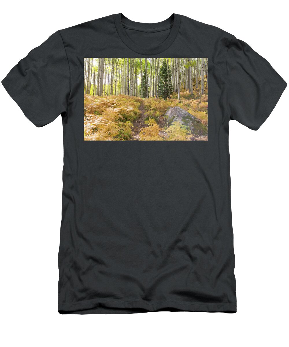 Ferns T-Shirt featuring the photograph Fern Path by Nancy Dunivin