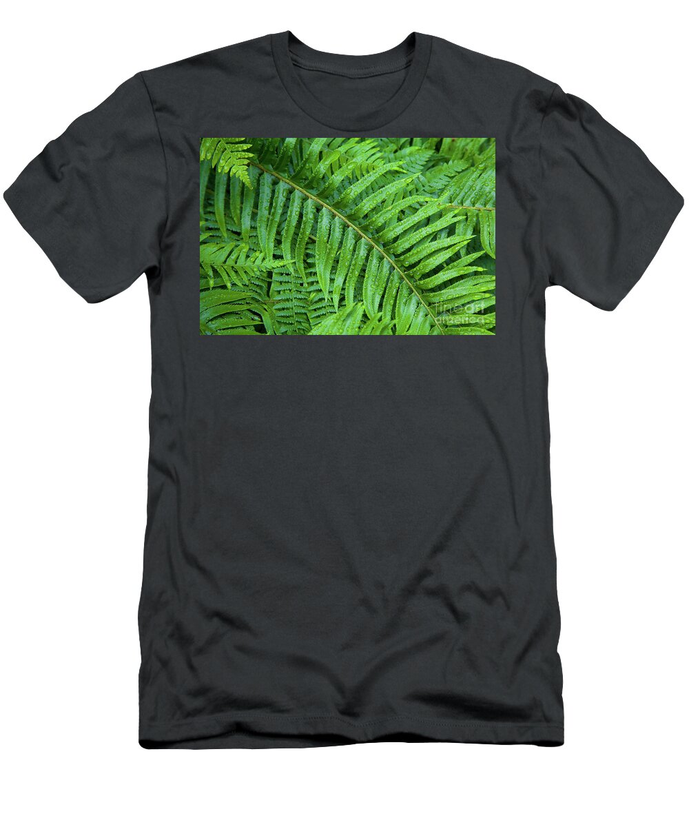 Fern T-Shirt featuring the photograph Ferns after a spring rain by Bruce Block