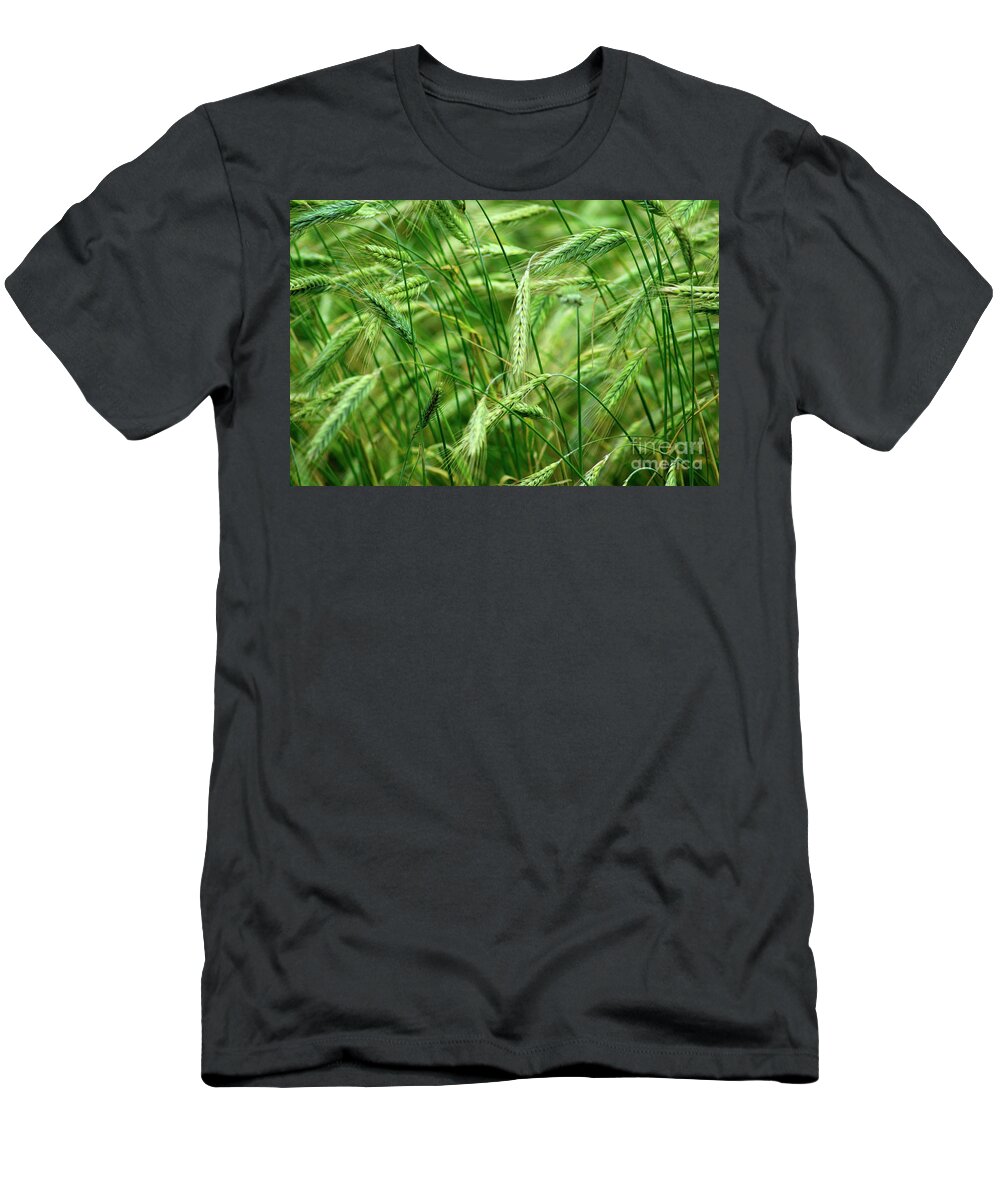 Rye Field T-Shirt featuring the photograph Field 3 by Esko Lindell