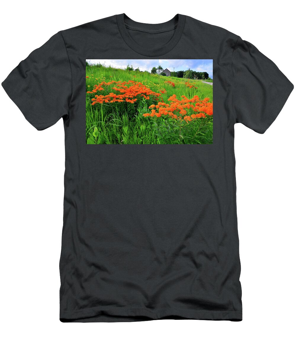 Glacial Park T-Shirt featuring the photograph Field of Butterfly Milkweed in Glacial Park by Ray Mathis