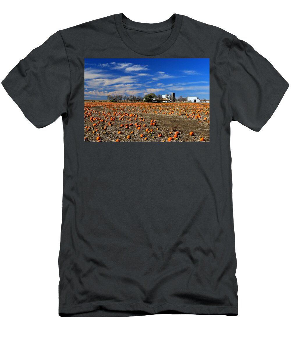 Barn T-Shirt featuring the photograph Field of Pumpkins by Christopher McKenzie