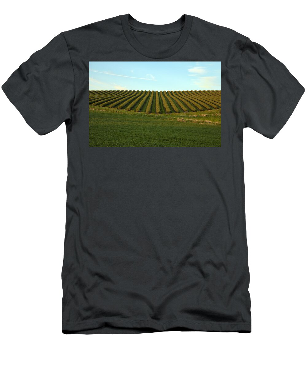 Summer T-Shirt featuring the photograph Field with patterns by Mike Santis