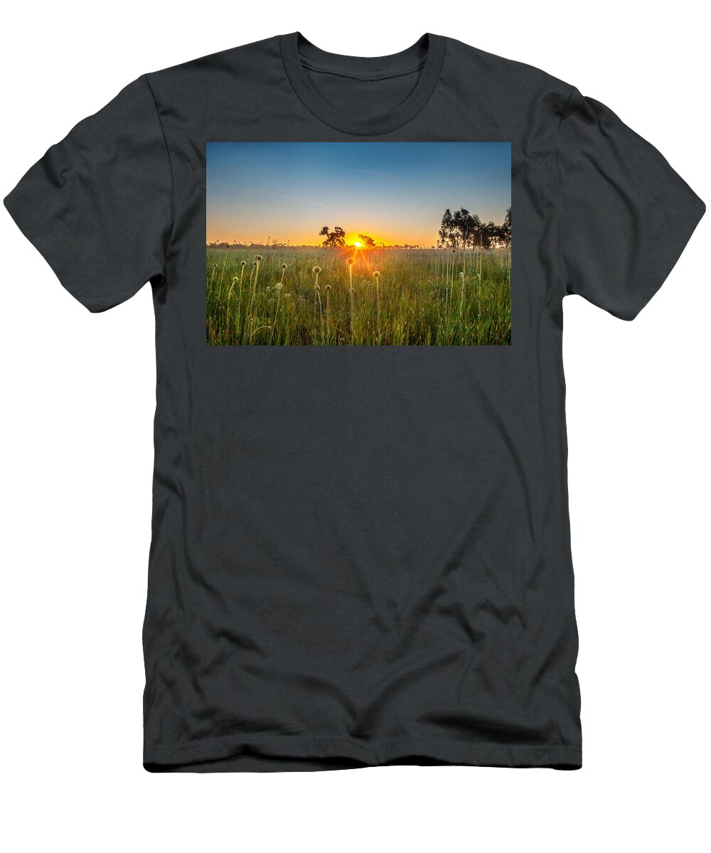 Matong State Forest T-Shirt featuring the photograph Fields Of Gold by Az Jackson