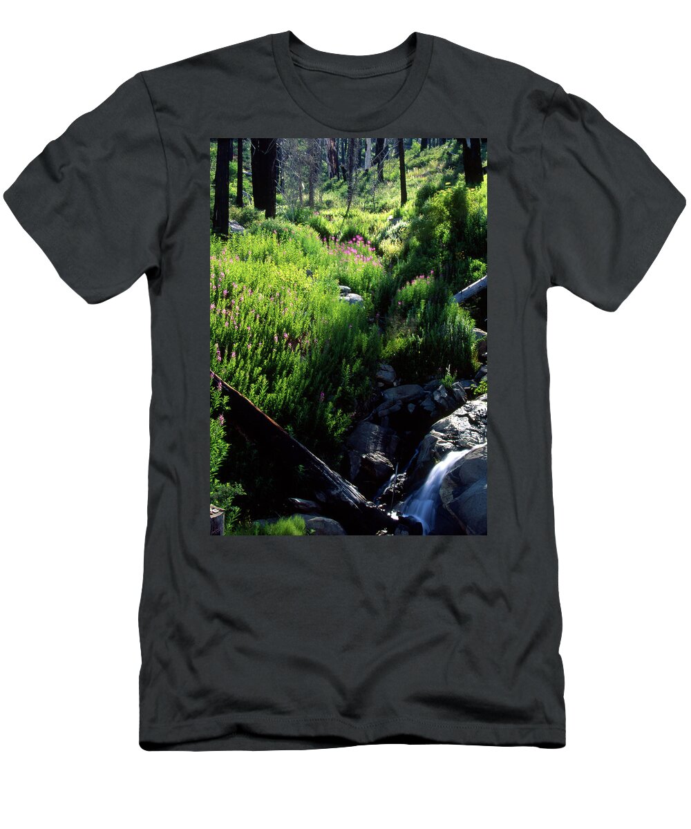Fireweed T-Shirt featuring the photograph Fireweed And Waterfall by Soli Deo Gloria Wilderness And Wildlife Photography