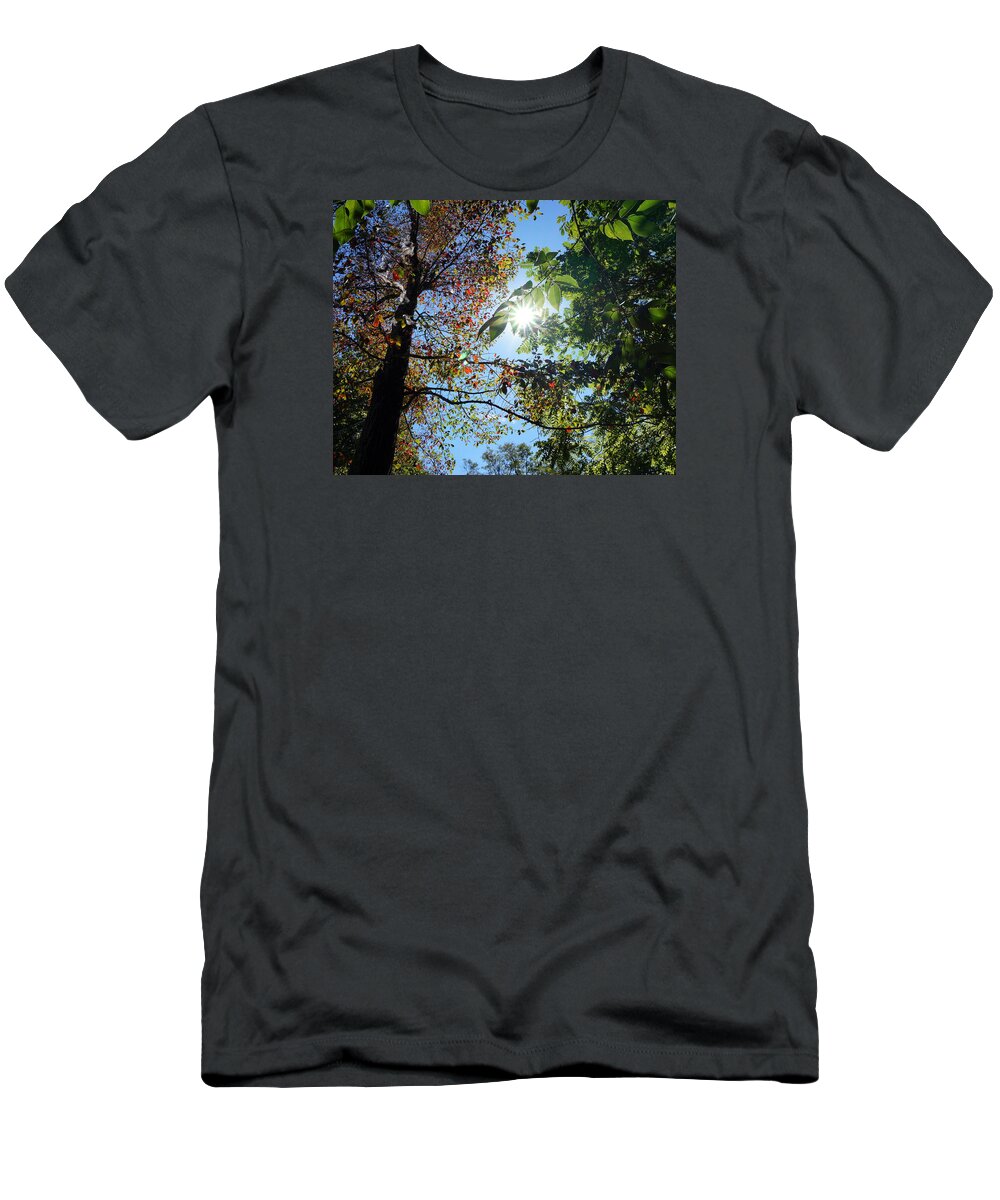 Fall T-Shirt featuring the photograph First Color of Fall by Katy Hawk