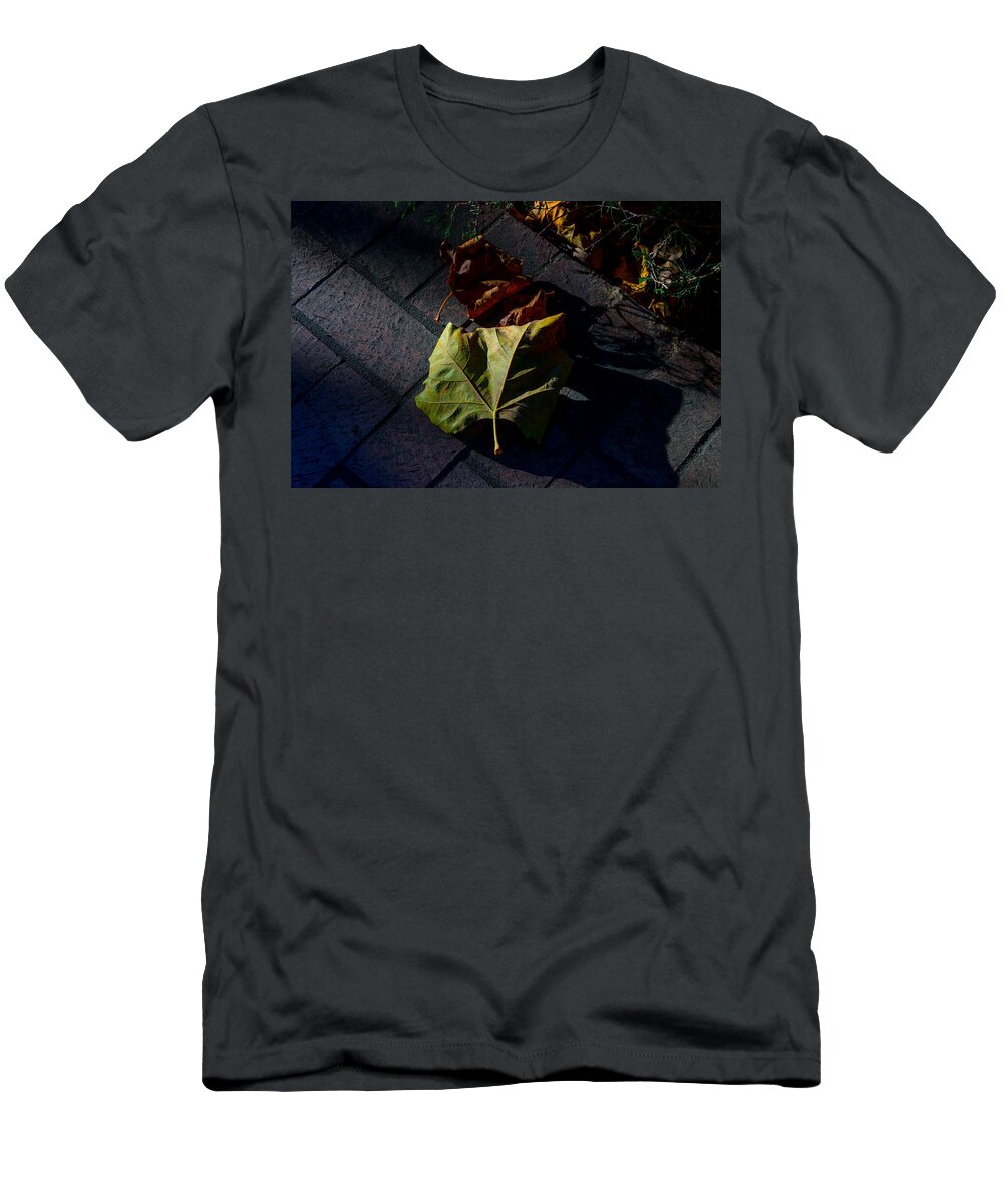 Fall T-Shirt featuring the photograph First to Fall by Derek Dean