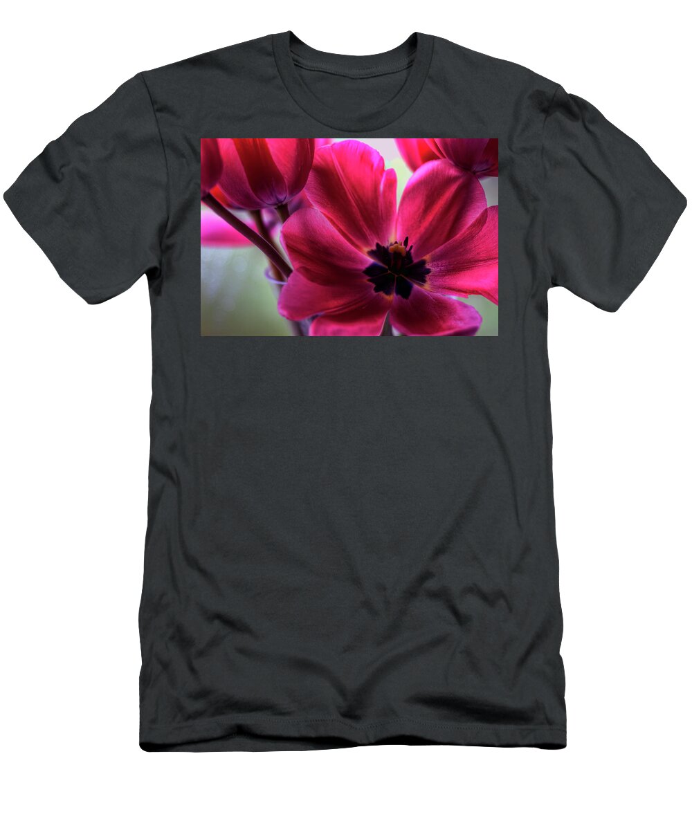 Hdr T-Shirt featuring the photograph First to Wake by Brad Granger