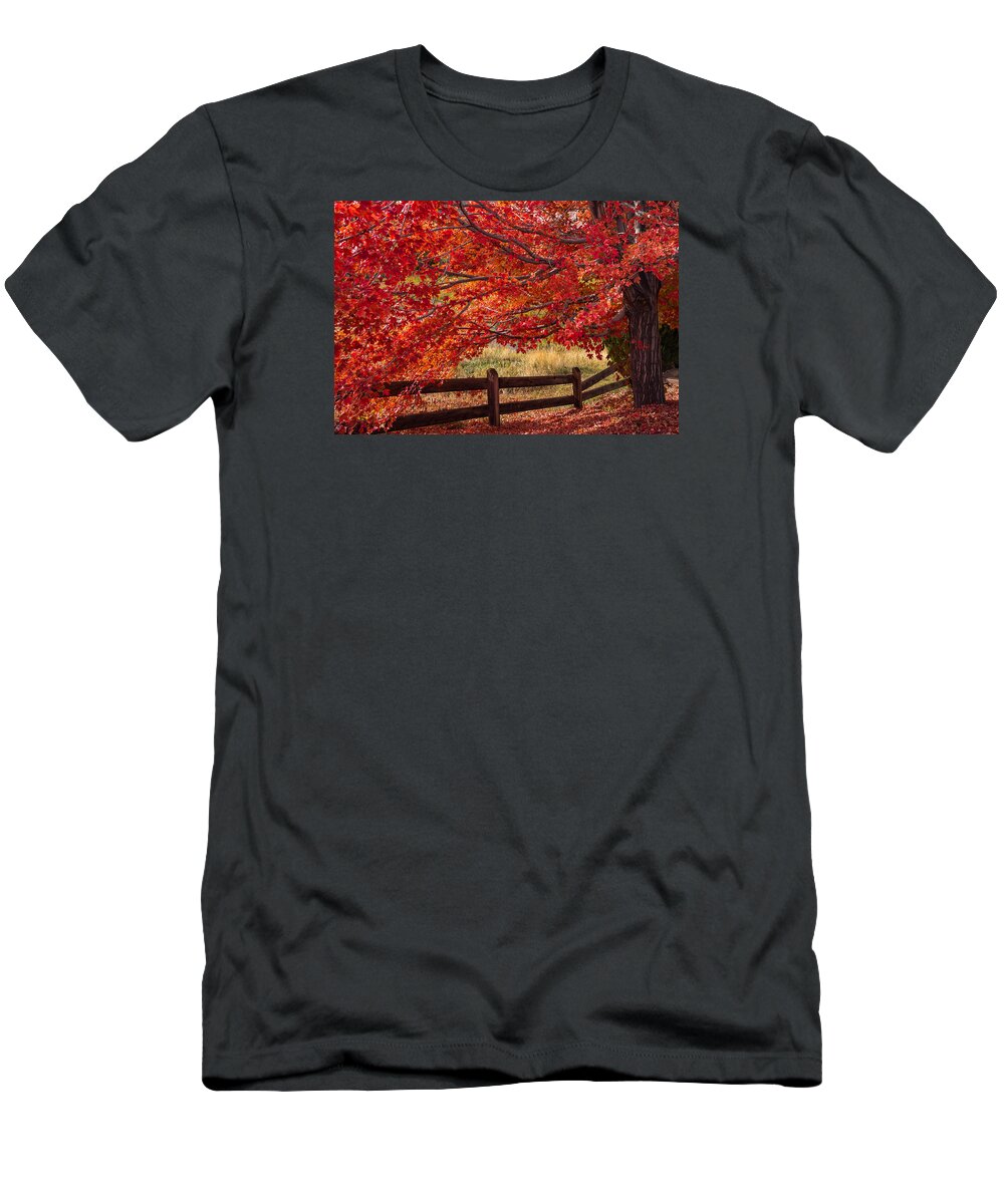 Autumn T-Shirt featuring the photograph Flames on the Fence by Darren White