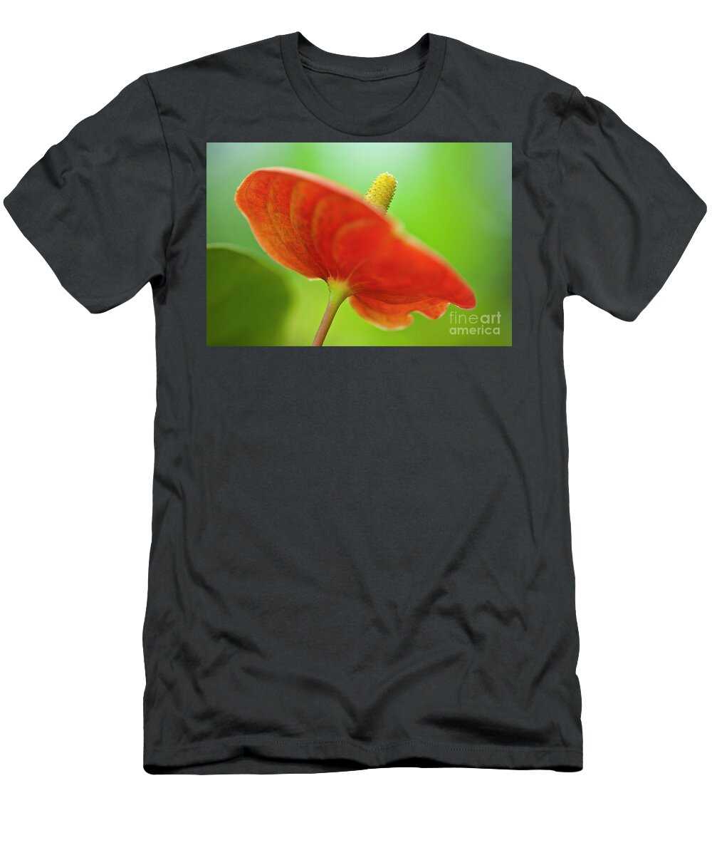 Anthurie T-Shirt featuring the photograph Flamingo Flower 2 by Heiko Koehrer-Wagner
