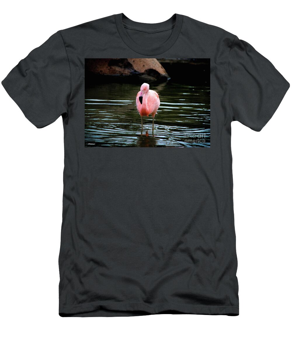 Flamingo T-Shirt featuring the photograph Flamingo in Water by Veronica Batterson