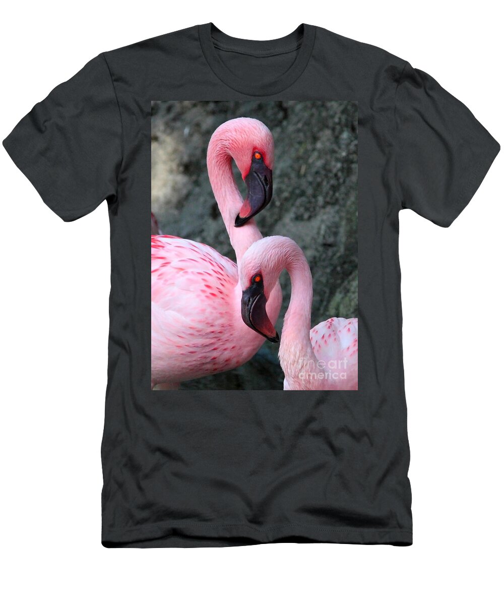 Flamingos T-Shirt featuring the photograph Flamingo Love Birds by Carol Groenen