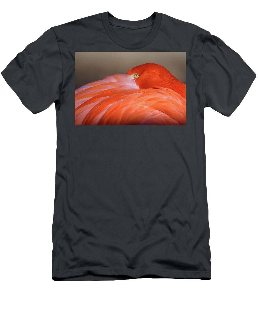 Flamingo T-Shirt featuring the photograph Flamingo by Michael Hubley