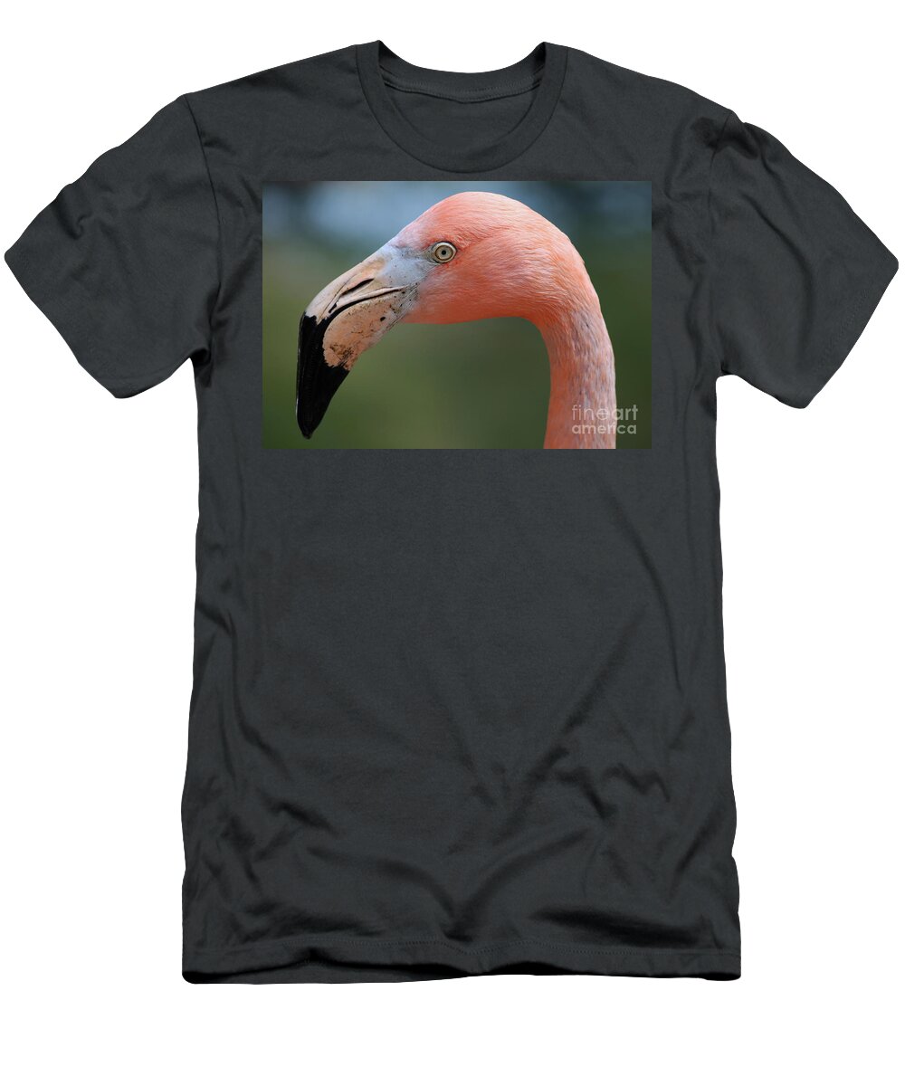 Flamingo T-Shirt featuring the photograph Flamingo Protrait by Marty Fancy