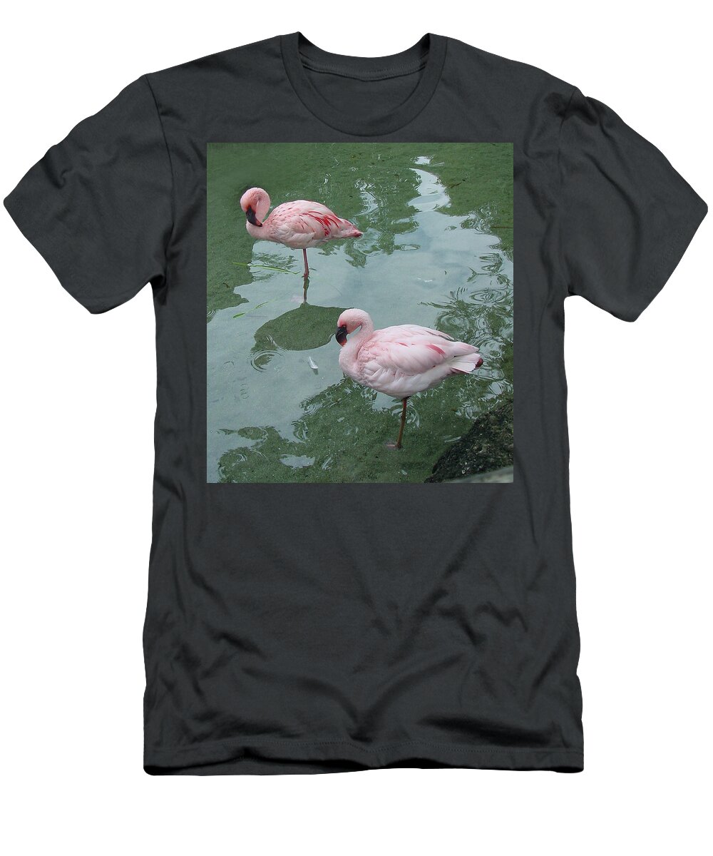 Wildlife T-Shirt featuring the photograph Flamingoes Posing by Shirley Heyn