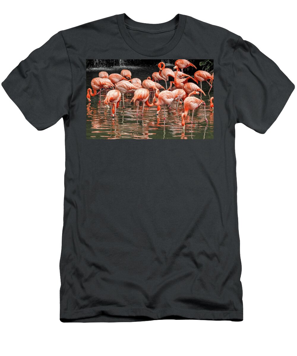 Flamingo T-Shirt featuring the photograph Flamingo looking for food by Pradeep Raja Prints