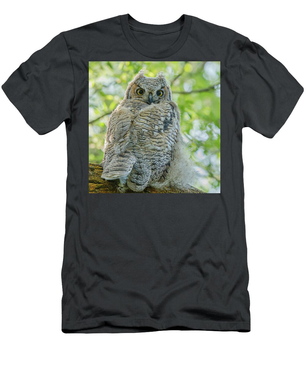 Owl T-Shirt featuring the photograph Fledgling In The Trees by Yeates Photography