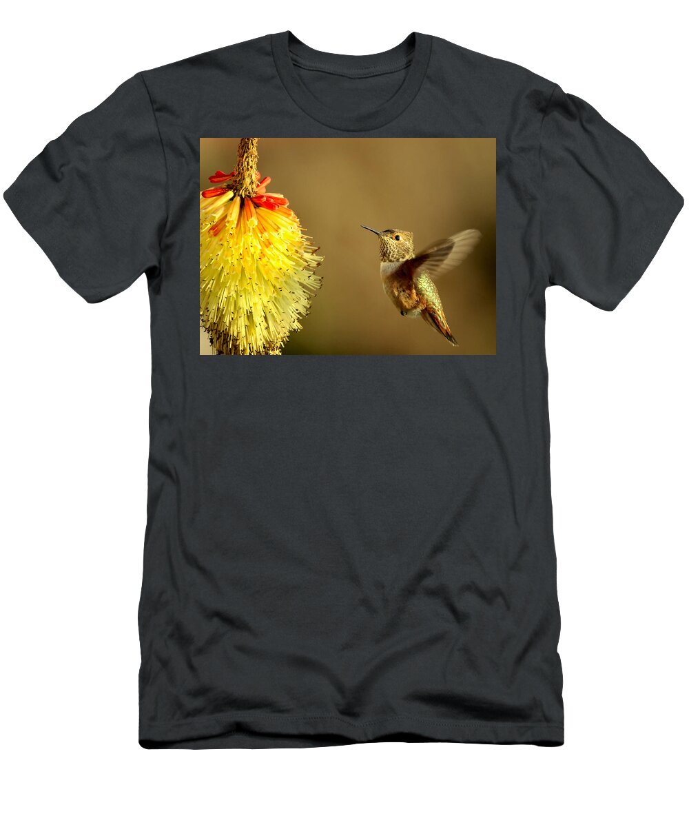 Hummingbird T-Shirt featuring the photograph Flight of the Hummer by Michael Dawson