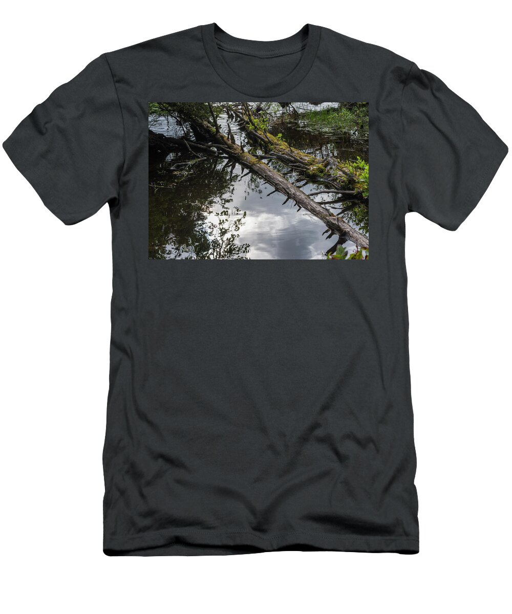 Coffenbury Lake T-Shirt featuring the photograph Floating Forest by Robert Potts