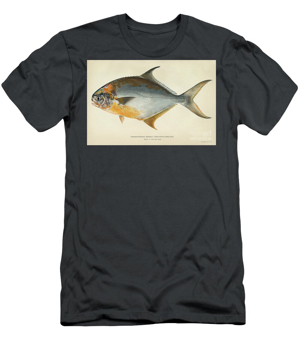 1903 T-Shirt featuring the photograph Florida Pompano by Granger