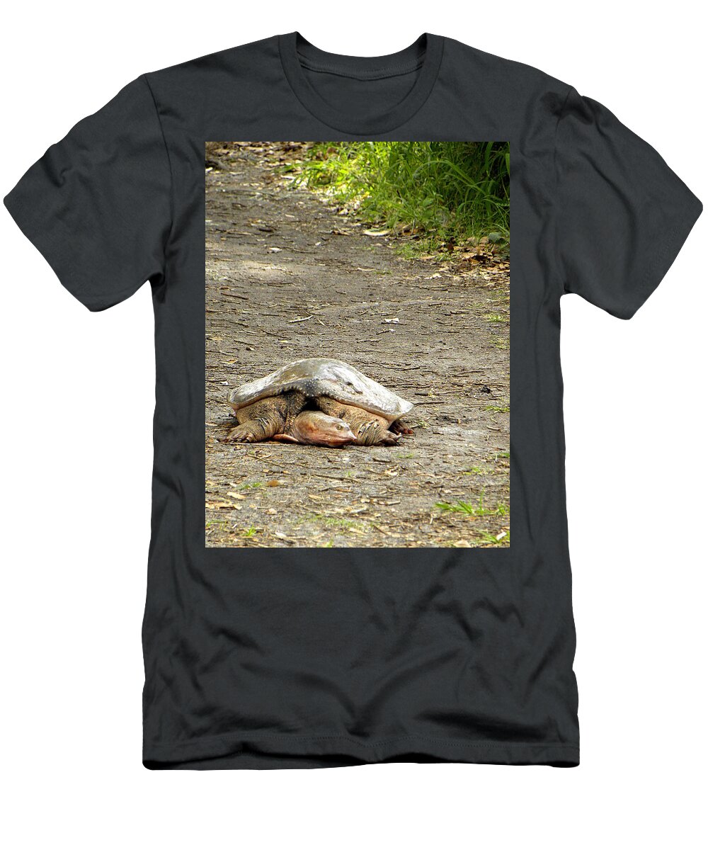 Turtle T-Shirt featuring the photograph Florida Softshell Turtle by Christopher Mercer