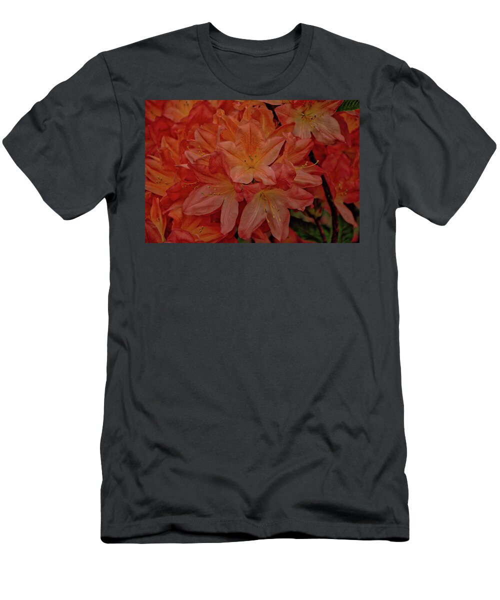 Belgium T-Shirt featuring the photograph Flower 7 by Ingrid Dendievel