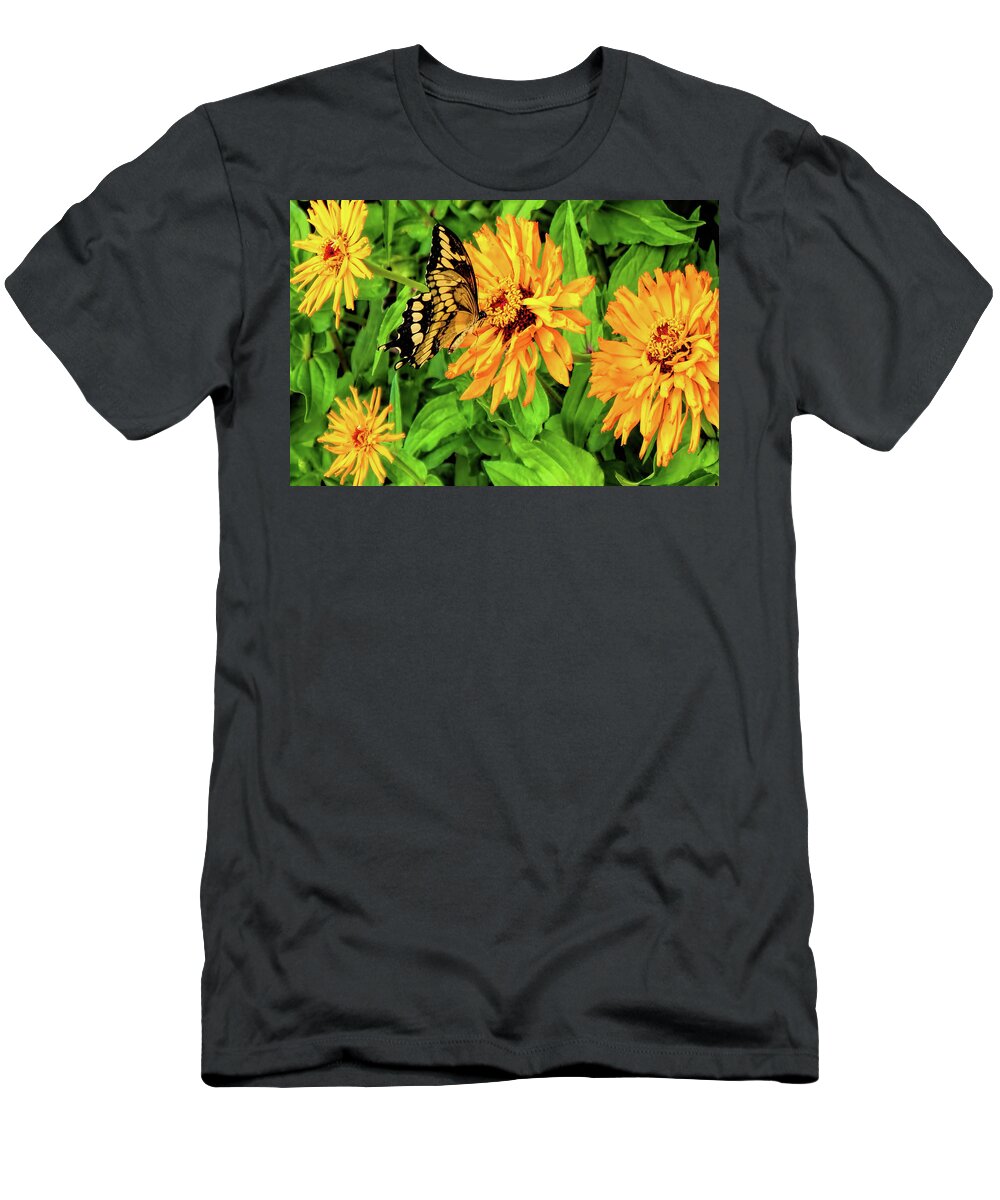 Butterfly T-Shirt featuring the photograph Flowers and Butterflies by Pat Cook