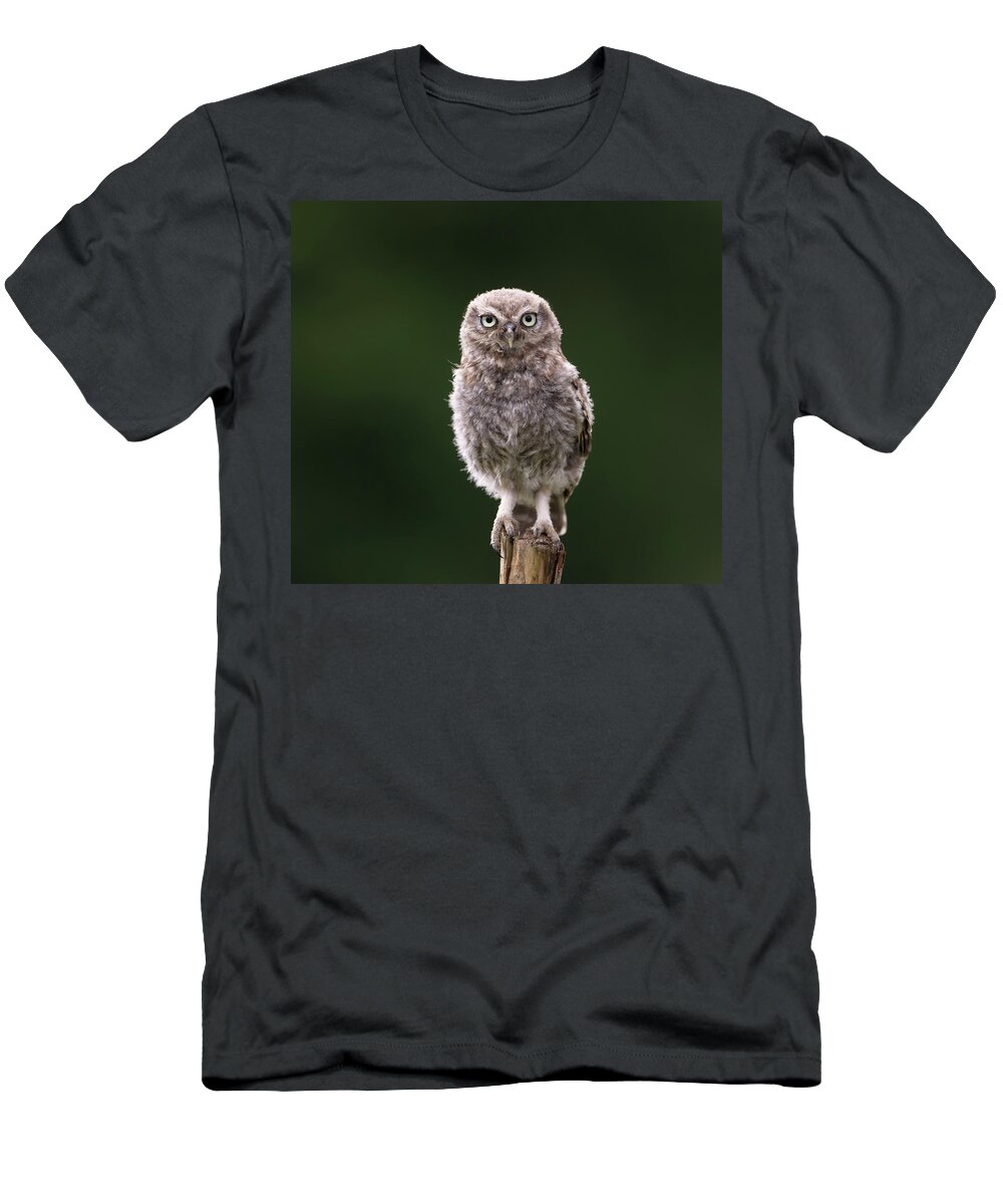 Little Owl T-Shirt featuring the photograph Fluffy McFluff-Face by Pete Walkden