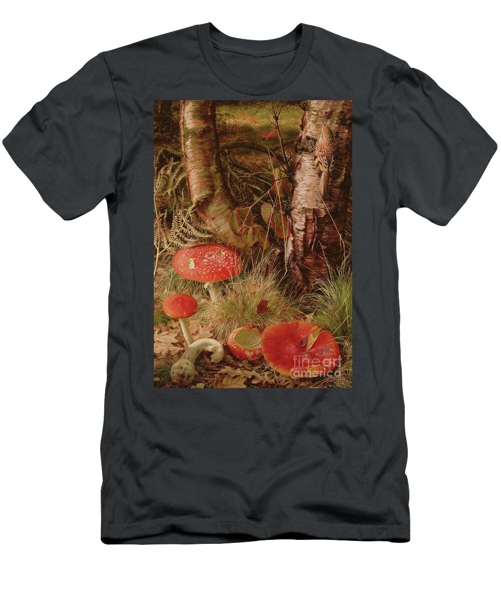Fly Agarics T-Shirt featuring the painting Fly Agarics by Raymond Booth