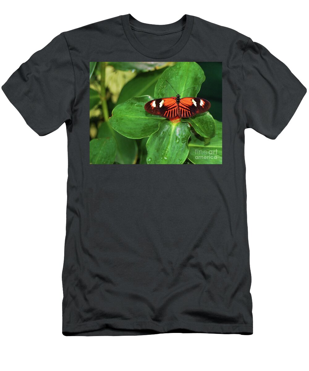 Butterfly T-Shirt featuring the photograph Fly Away by Debbi Granruth