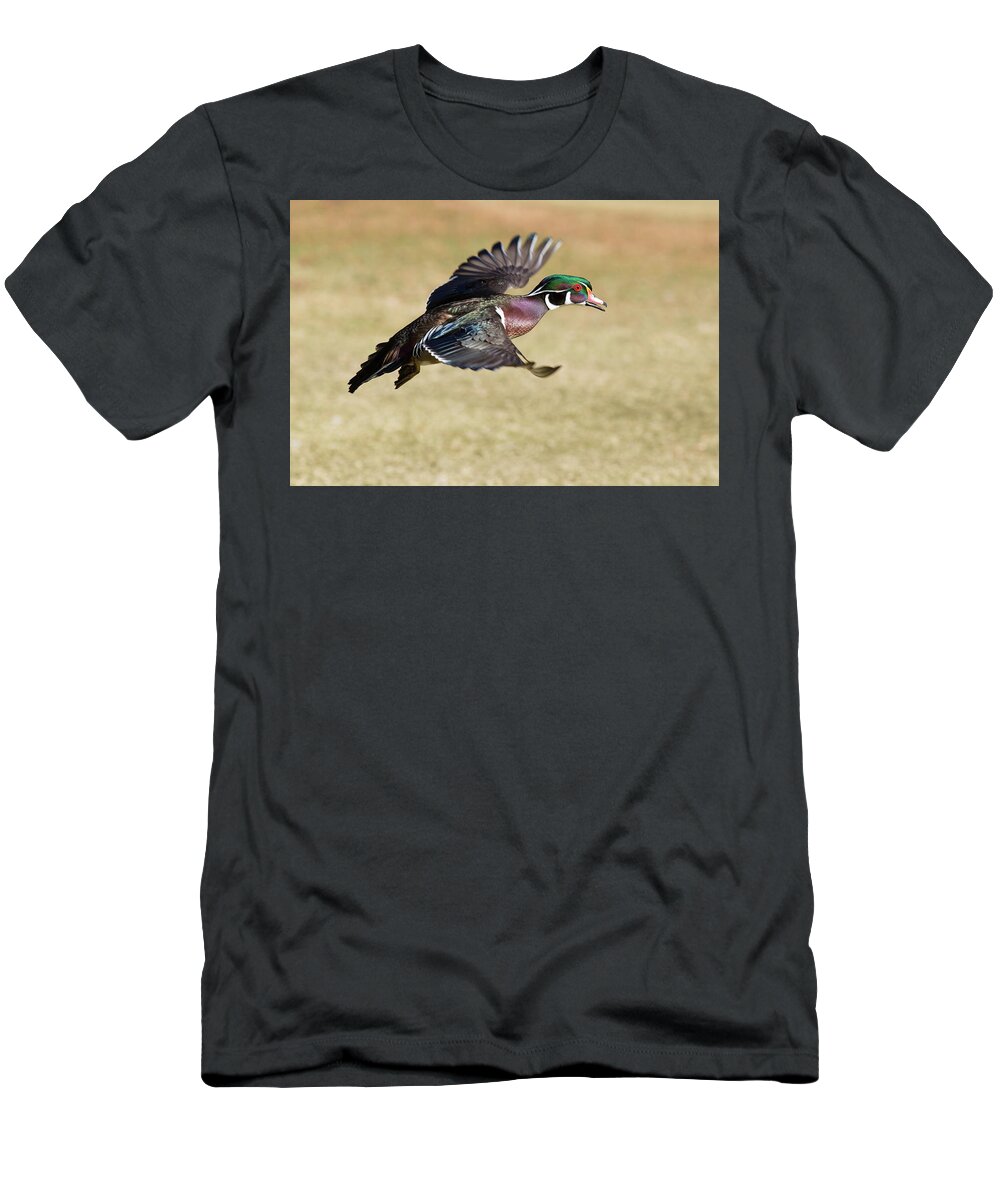 Fly Away T-Shirt featuring the photograph Fly Away by Lynn Hopwood