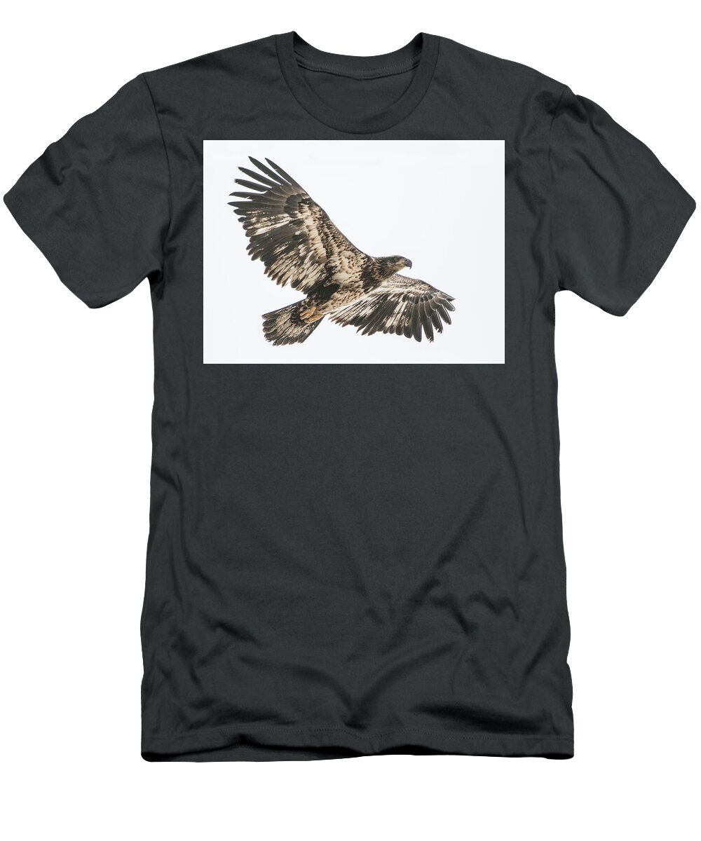 Eagle T-Shirt featuring the photograph Flying High by Kent Keller