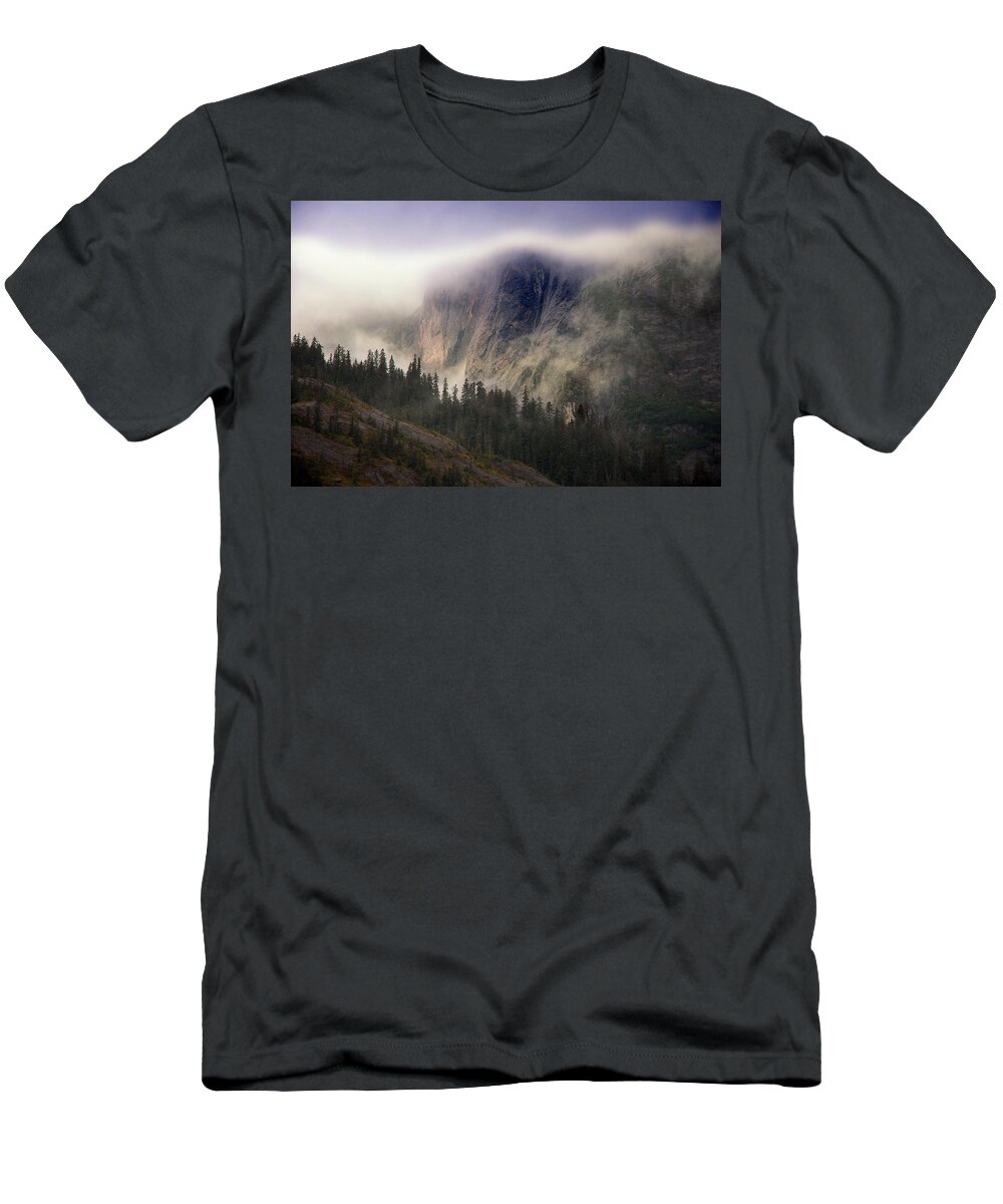 Fog T-Shirt featuring the photograph Fog Bank by Harry Spitz