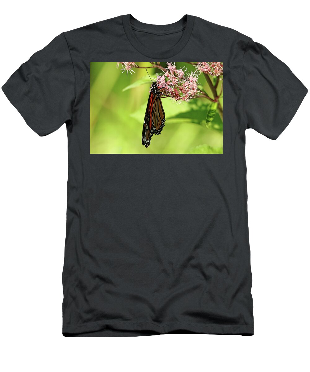 Monarch T-Shirt featuring the photograph Folded Monarch by Debbie Oppermann