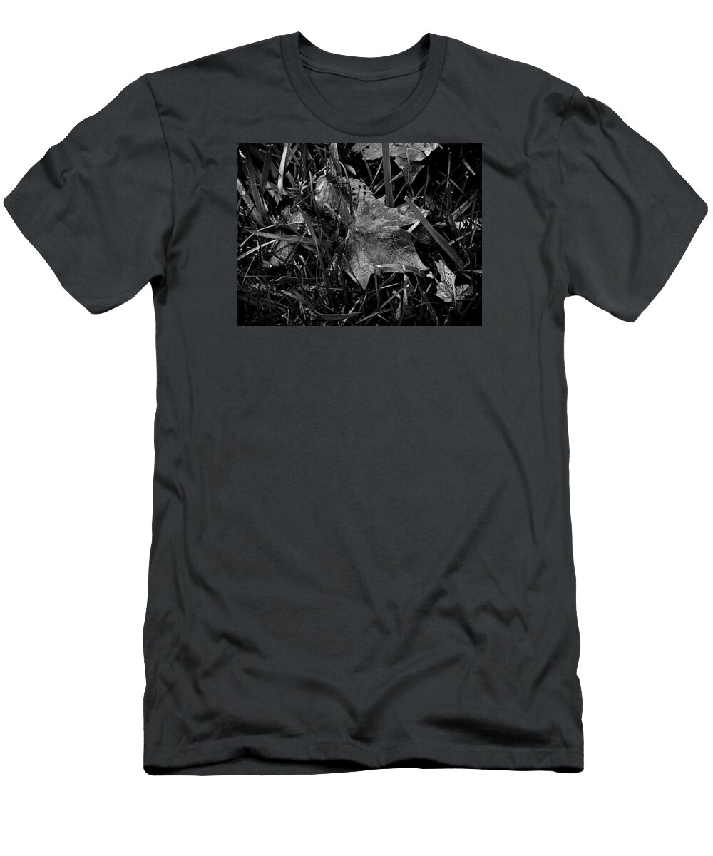 Frankjcasella T-Shirt featuring the photograph Foliage in the Grass by Frank J Casella