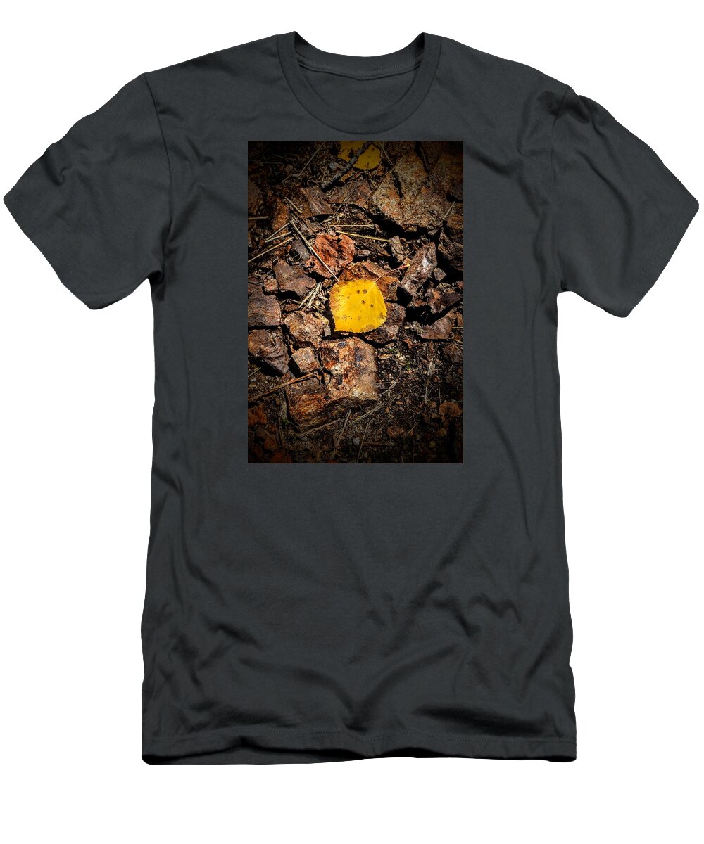 Aspen T-Shirt featuring the photograph Fools Gold by Michael Brungardt