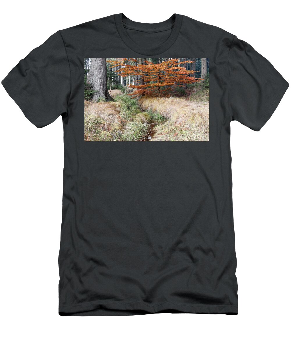Streamlet T-Shirt featuring the photograph Forest autumn still life with the streamlet by Michal Boubin
