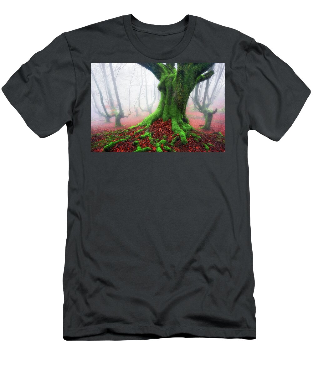 Roots T-Shirt featuring the photograph Forest speeches by Mikel Martinez de Osaba