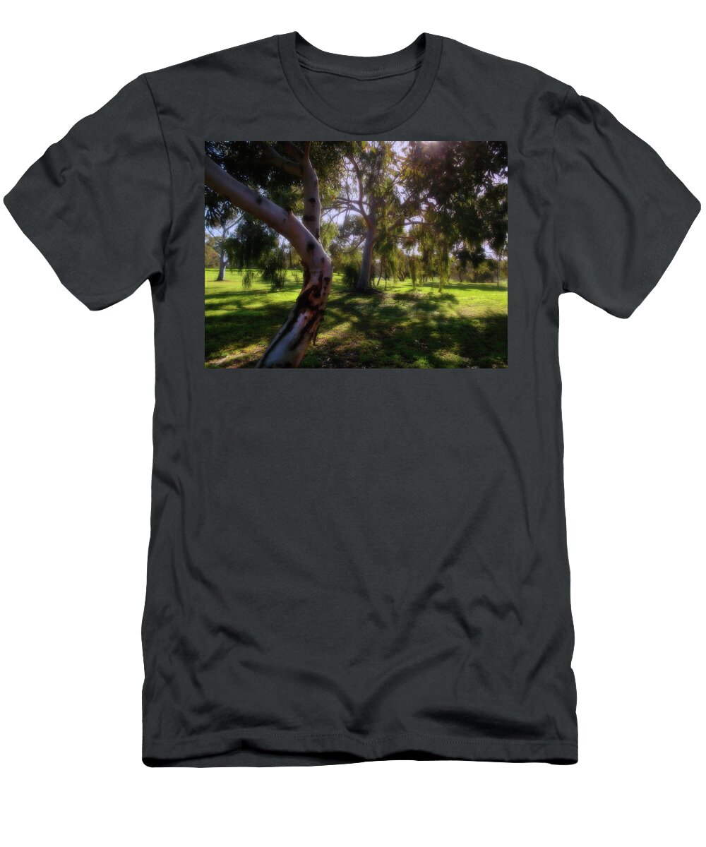 Forest T-Shirt featuring the photograph Forest View by Mark Blauhoefer