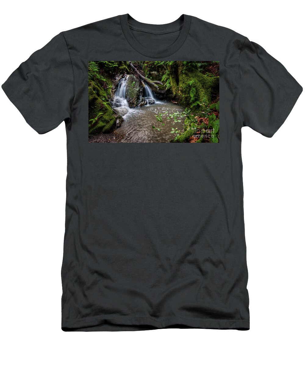 California T-Shirt featuring the photograph Forests Deep by Dean Birinyi