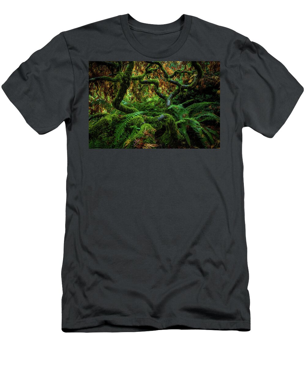 5dsr T-Shirt featuring the photograph Forever Green by Edgars Erglis