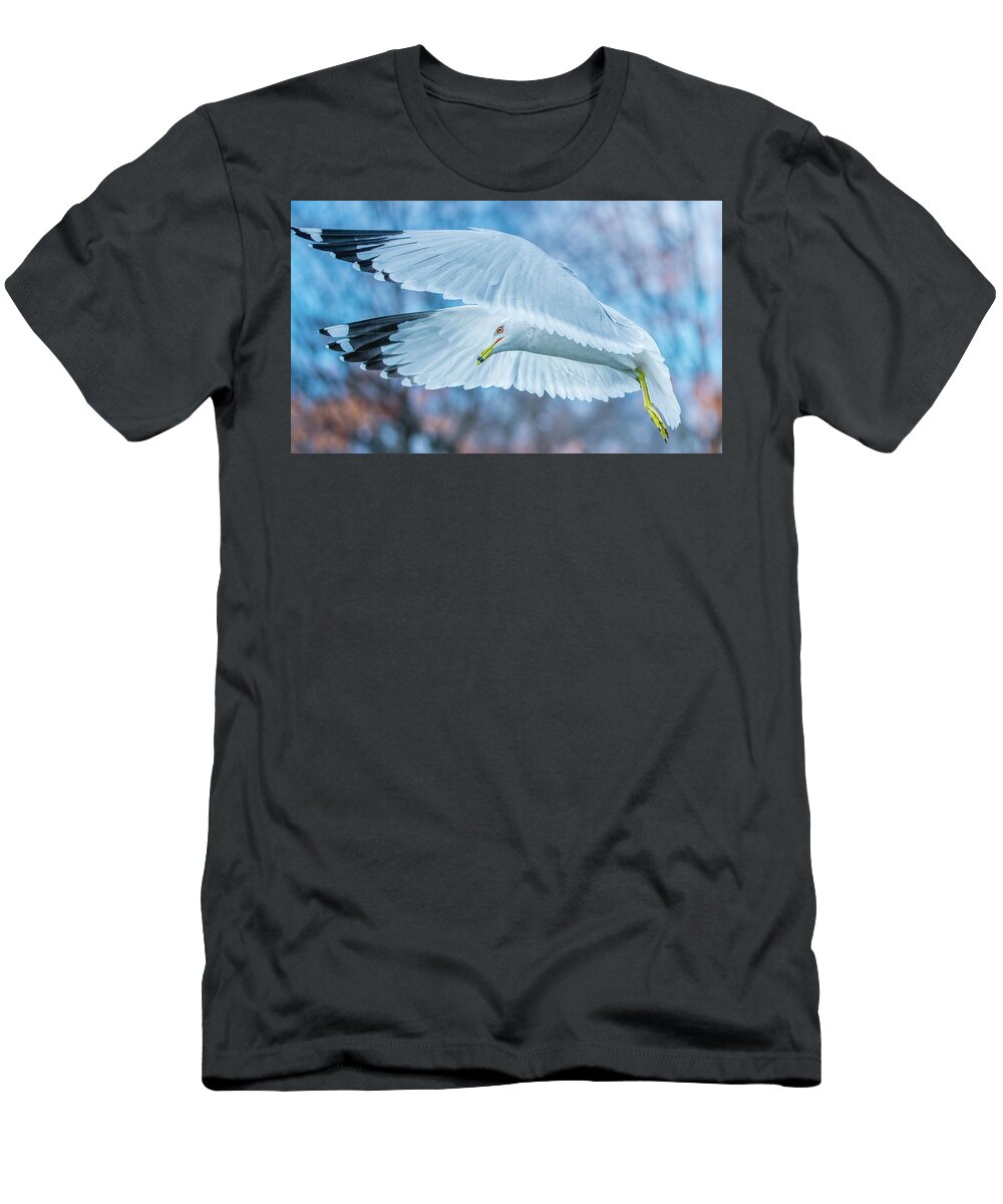 20170128 T-Shirt featuring the photograph Forward Flight by Jeff at JSJ Photography