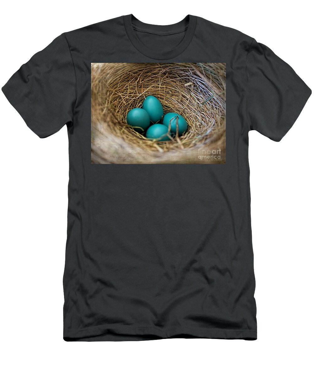 Robin Eggs T-Shirt featuring the photograph Four Robin Eggs In Nest by Barbara McMahon