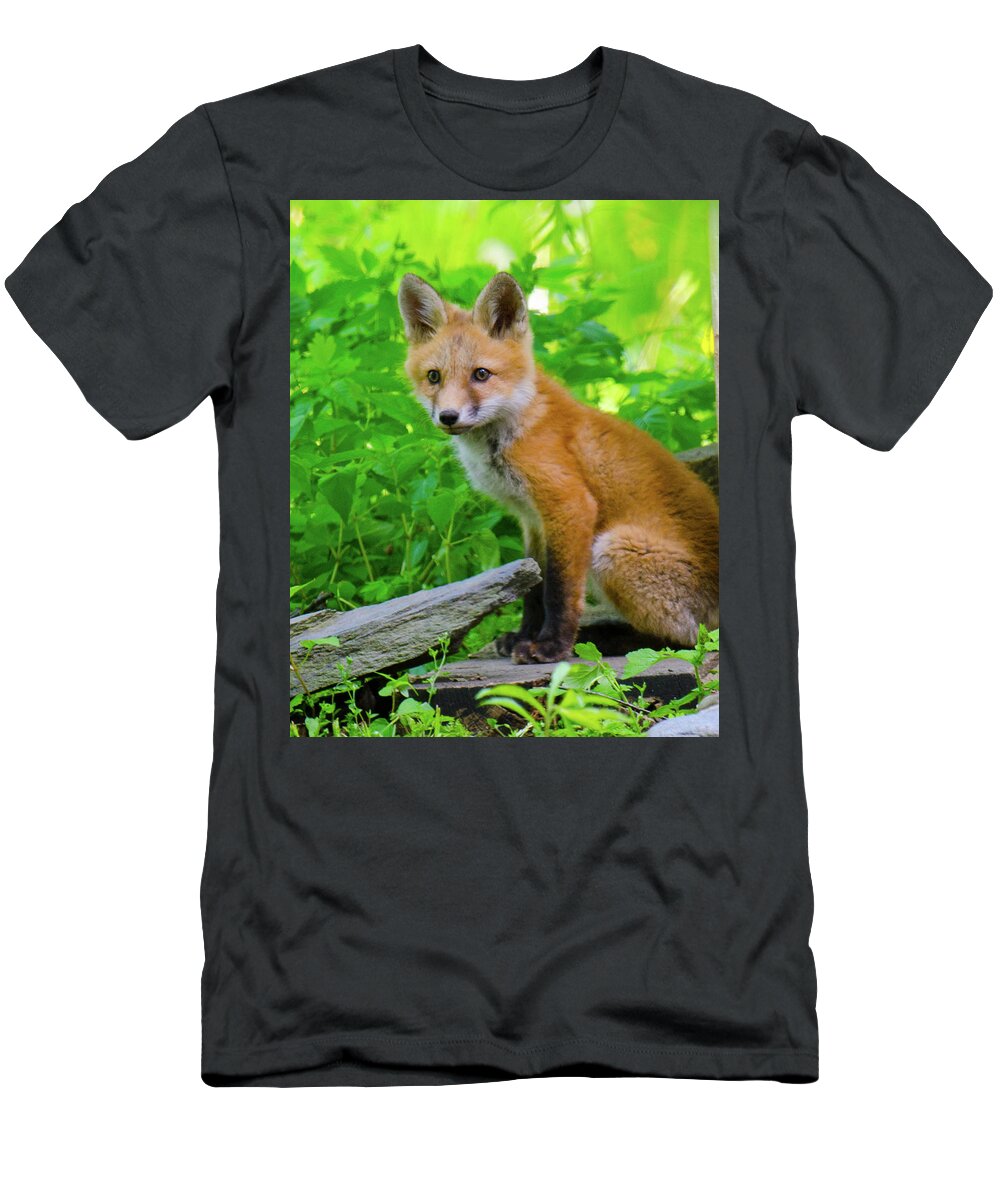 Fox Kit T-Shirt featuring the photograph Fox Kit - 1 by Kristin Hatt