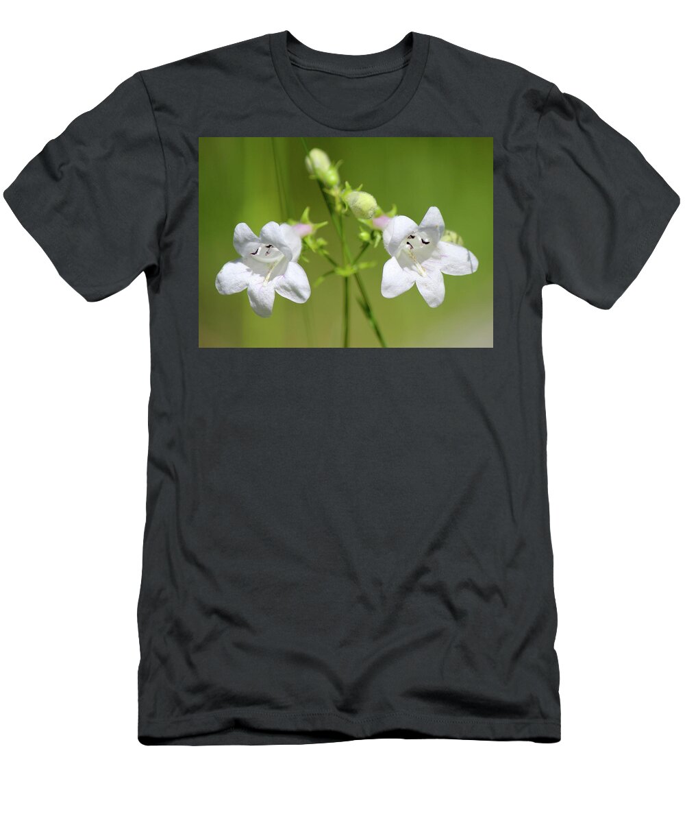 Penstemon Digitalis T-Shirt featuring the photograph Foxglove Beardtongue by David Pickett