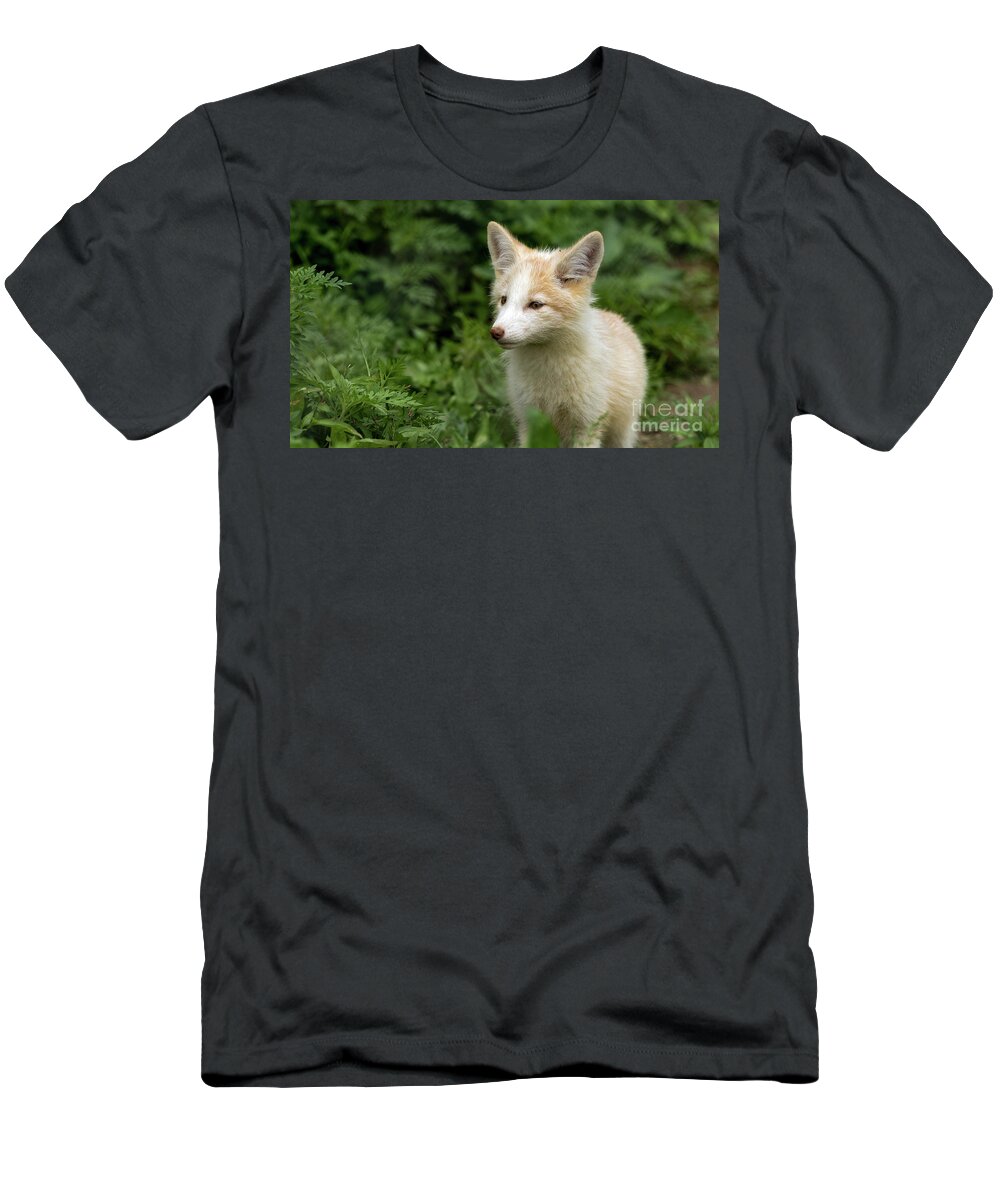 Fox T-Shirt featuring the photograph Foxy Lady by Sam Rino