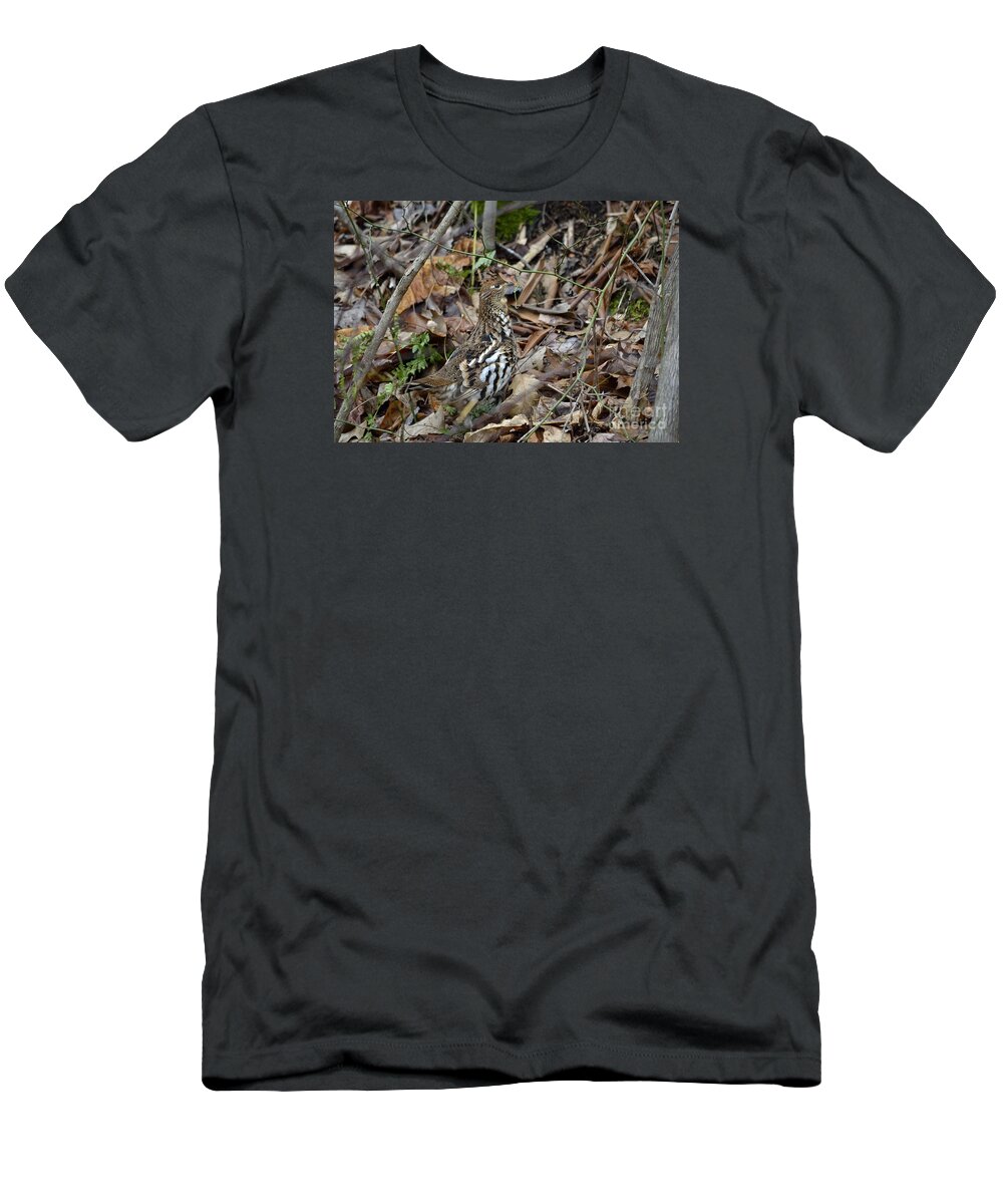 West Virginia Birds T-Shirt featuring the photograph Framed RUGR by Randy Bodkins