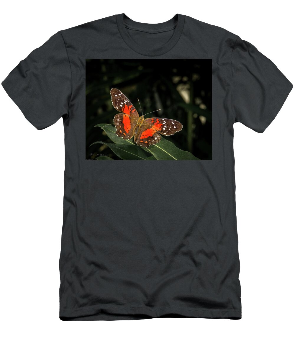 Butterfly T-Shirt featuring the photograph Free as a Butterfly by Robert Culver