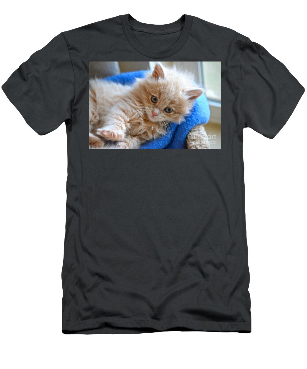 Cat T-Shirt featuring the photograph Freya #2 by Cindy Schneider