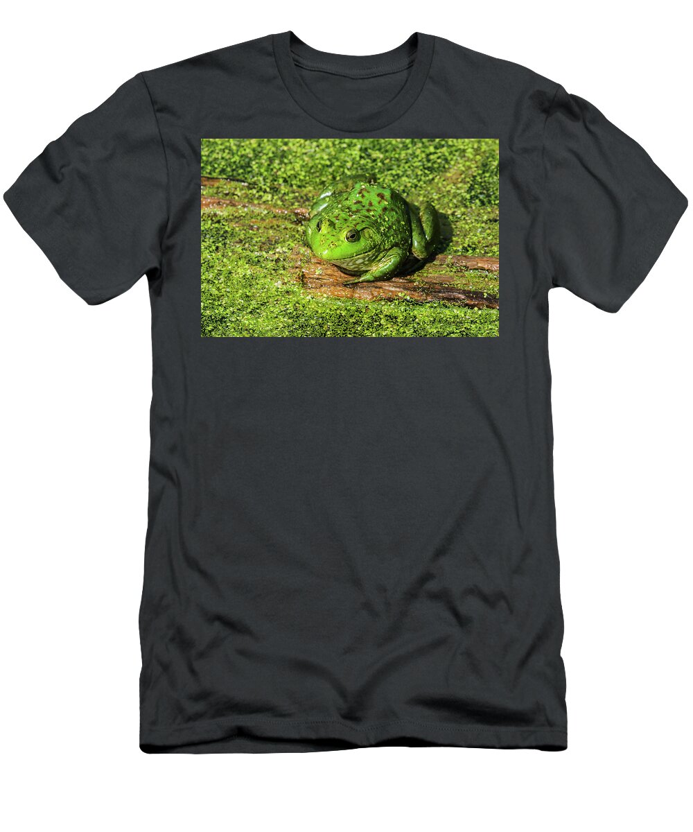Heron Heaven T-Shirt featuring the photograph Frog And Duck Weed by Ed Peterson