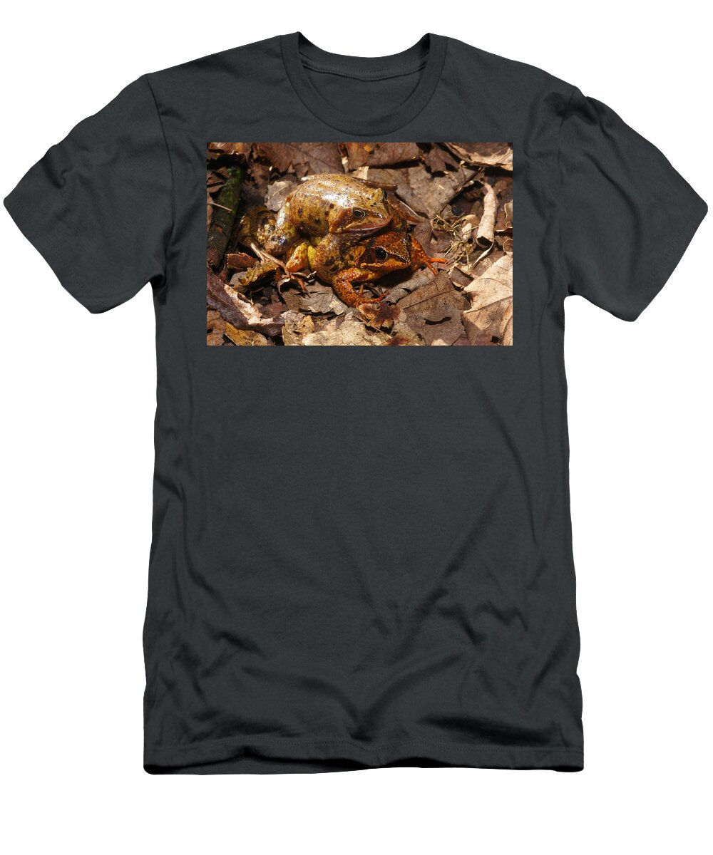 Frogs Porn 1 T-Shirt by Nik Watt - Pixels
